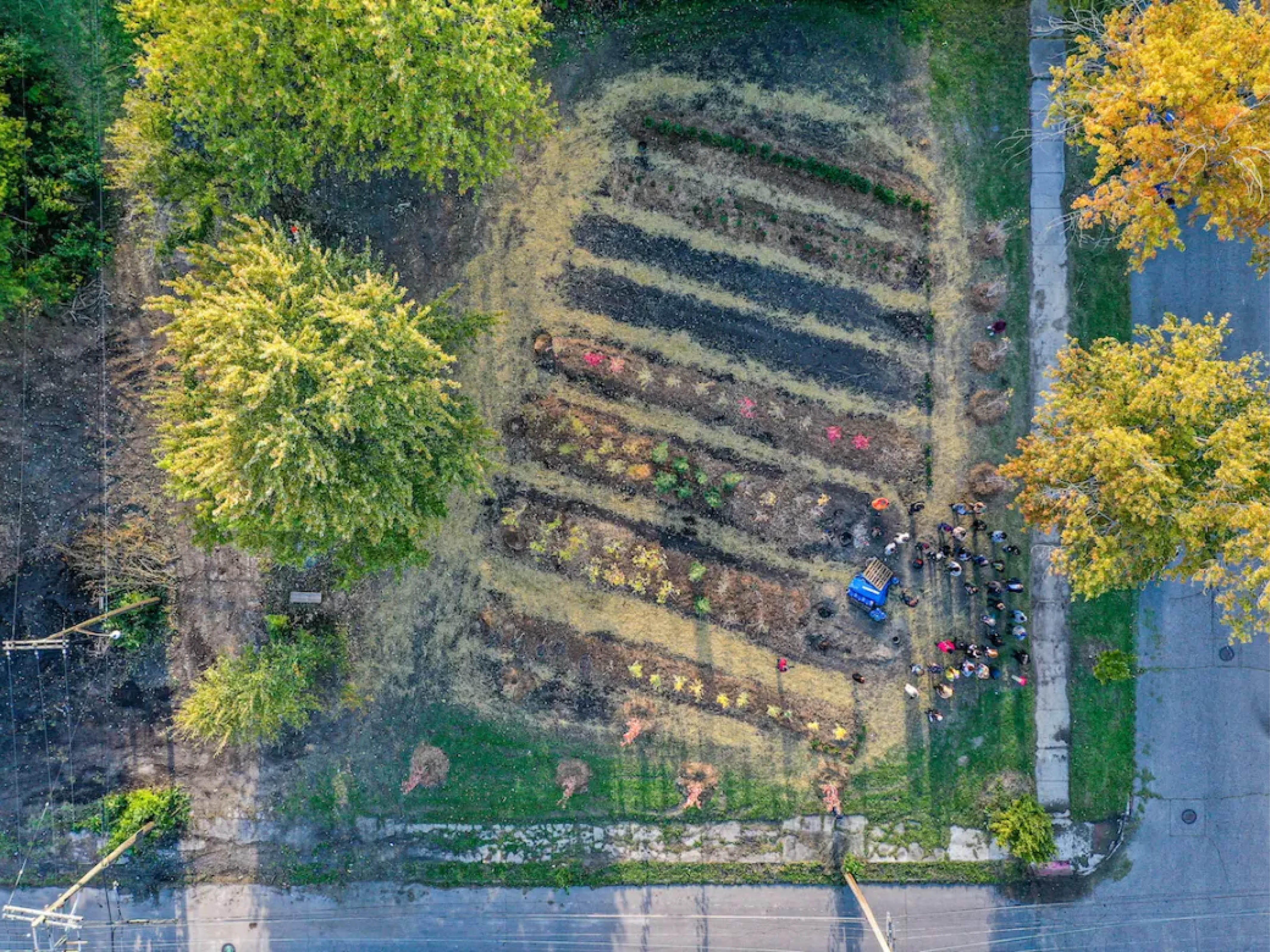 Side lot garden