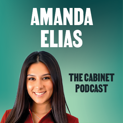 The Cabinet - Amanda Elias